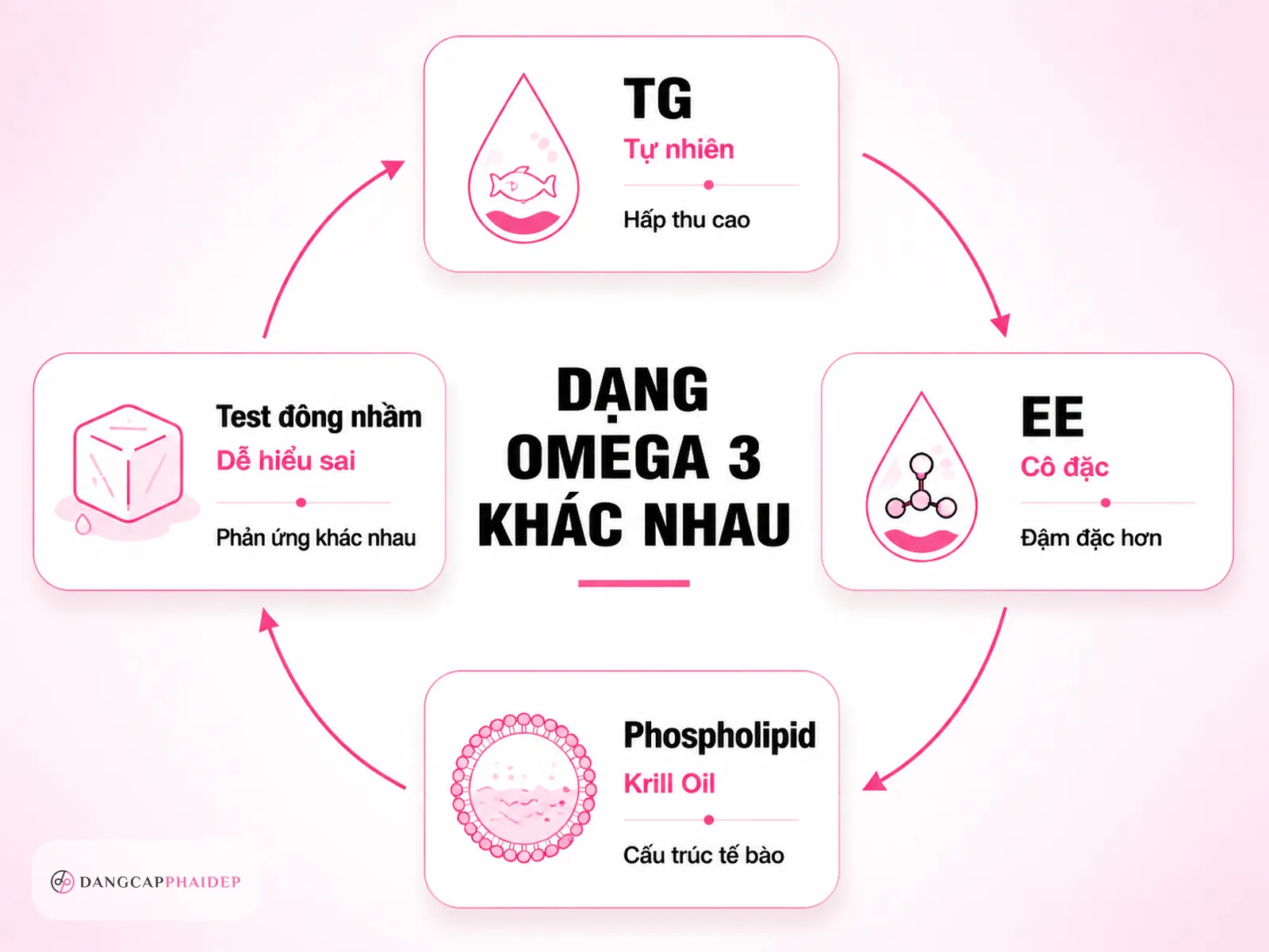 Dầu cá dạng Triglyceride và Ethyl Ester: vì sao test đông đá dễ nhầm