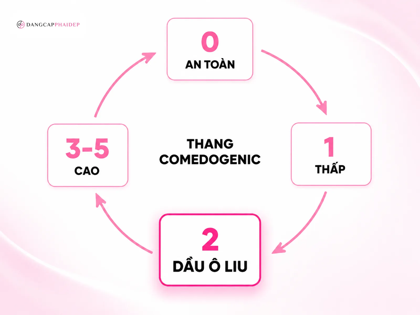 Infographic thang Comedogenic của dầu ô liu và mức độ gây mụn