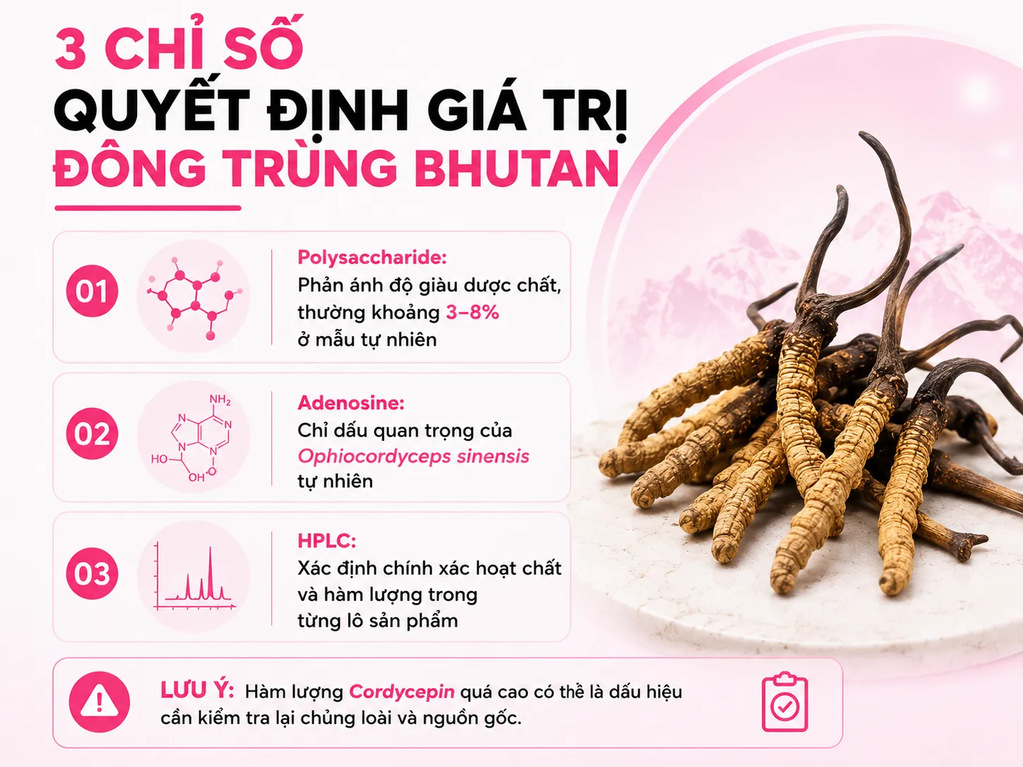 Định lượng khoa học: những chỉ số quyết định giá trị của đông trùng Bhutan