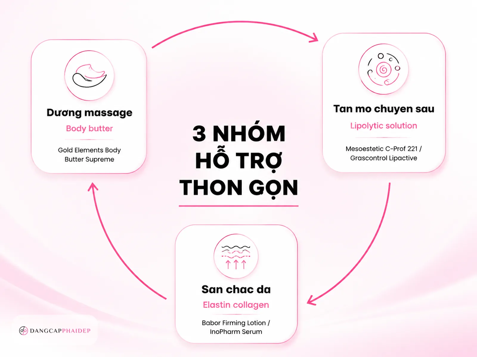 infographic phân loại sản phẩm hỗ trợ thon gọn và săn chắc da theo 3 nhóm nhu cầu