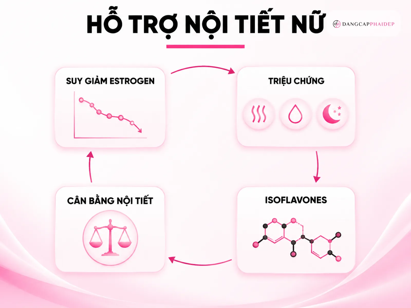 Hỗ trợ cân bằng nội tiết tố nữ cho phụ nữ tiền mãn kinh