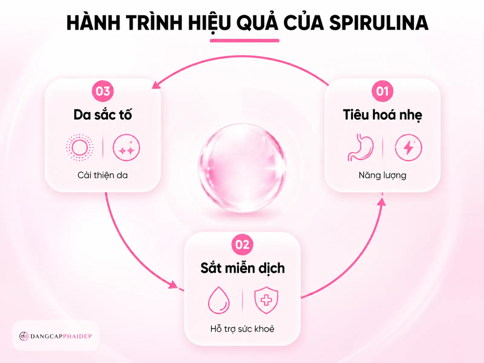 Infographic vòng tròn lộ trình tác dụng tảo vàng theo 3 giai đoạn cơ thể