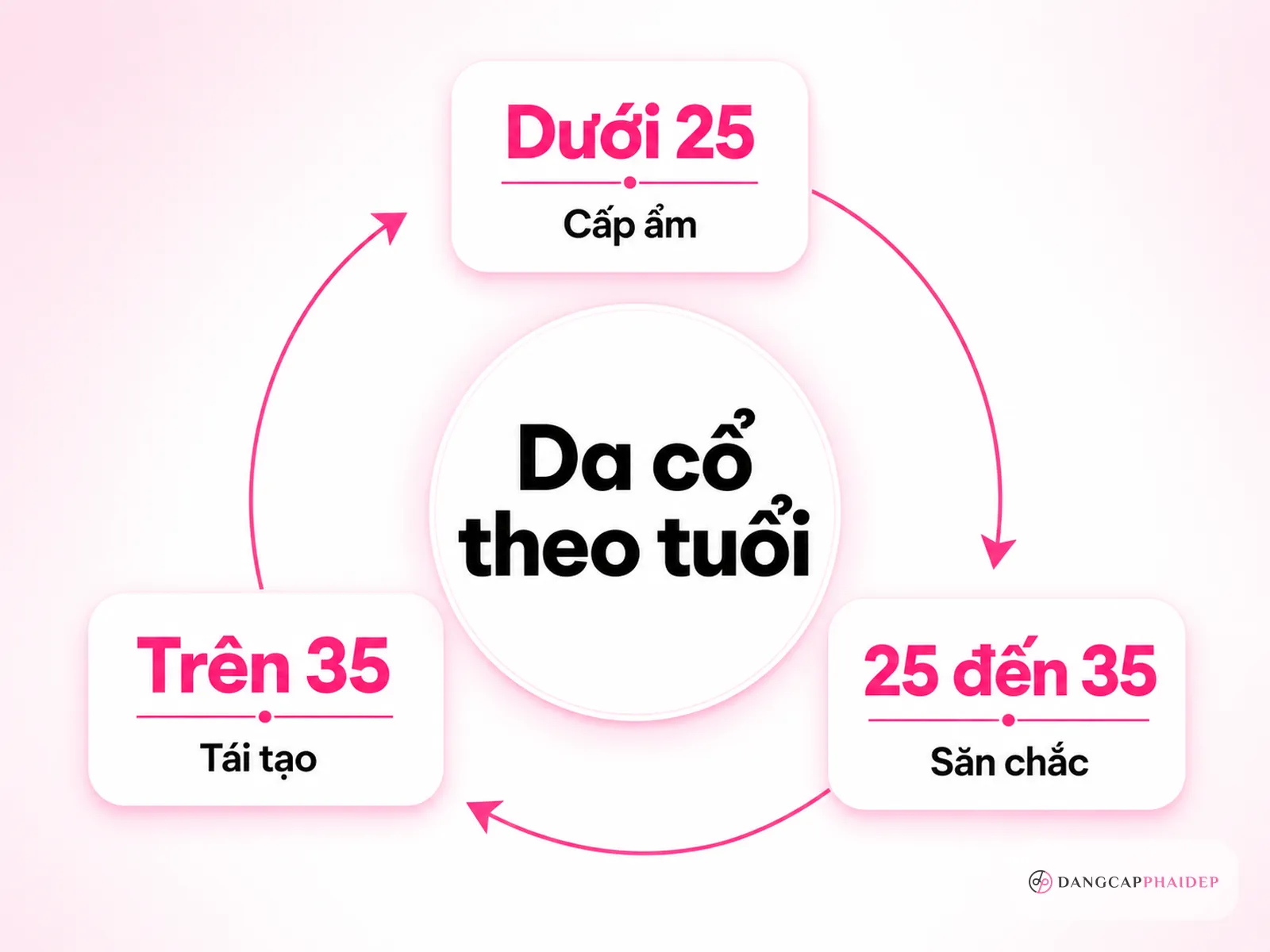 Ma trận hoạt chất cho da cổ theo độ tuổi