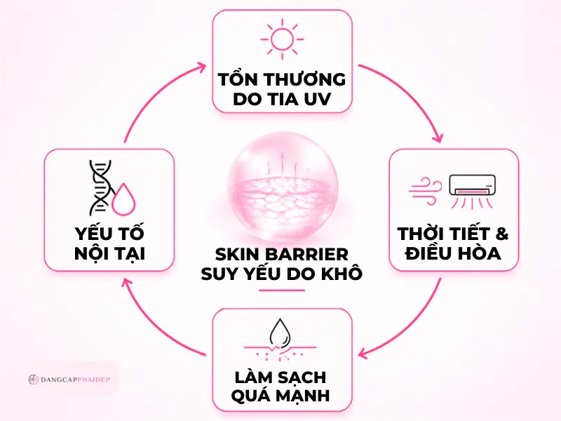 04-nhung-nguyen-nhan-khien-da-kho-sam-tu-ben-ngoai-den-ben-trong