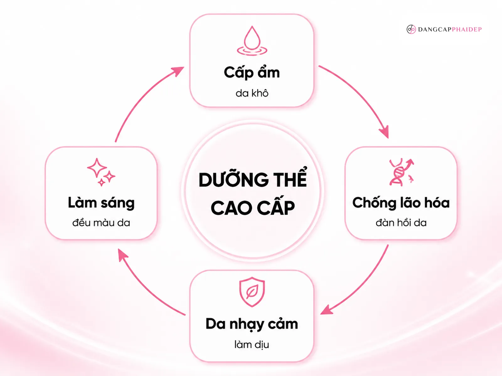 Infographic phân nhóm body lotion cao cấp theo công dụng: cấp ẩm, chống lão hóa, da nhạy cảm, làm sáng