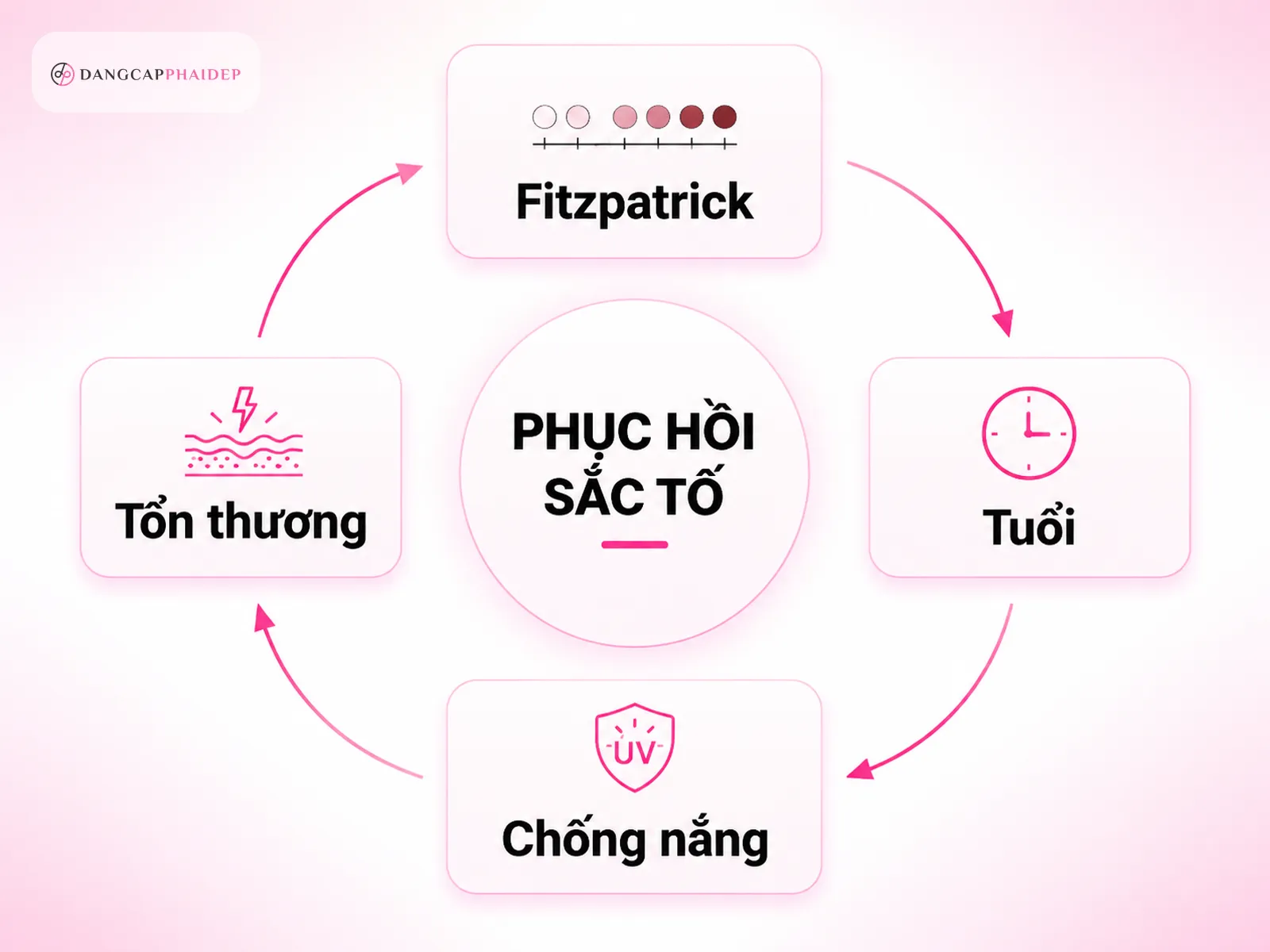 Vì sao da bạn phục hồi nhanh hay chậm? Cơ địa Fitzpatrick và các yếu tố ảnh hưởng