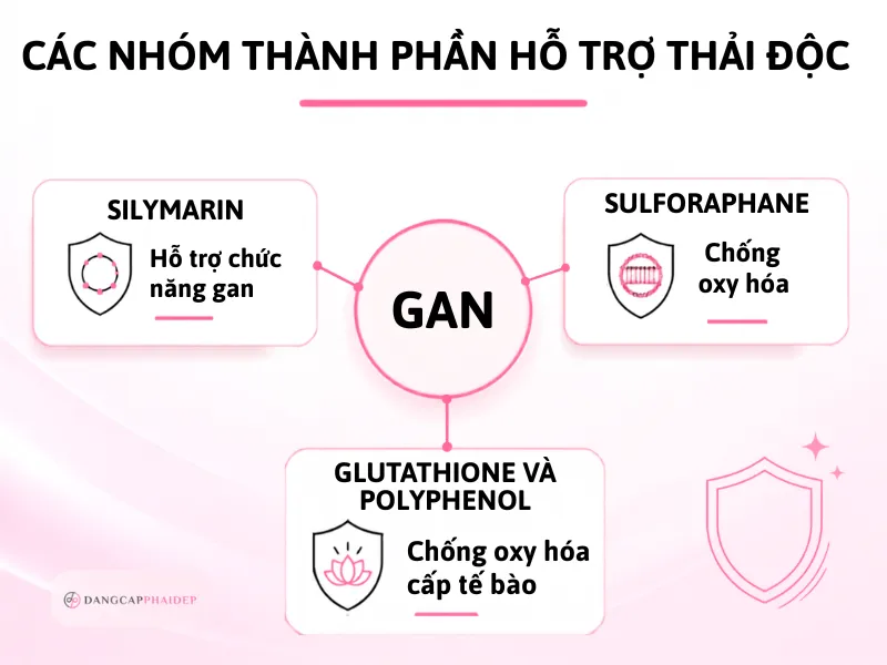 05-cac-nhom-thanh-phan-ho-tro-thai-doc-co-co-so-khoa-hoc