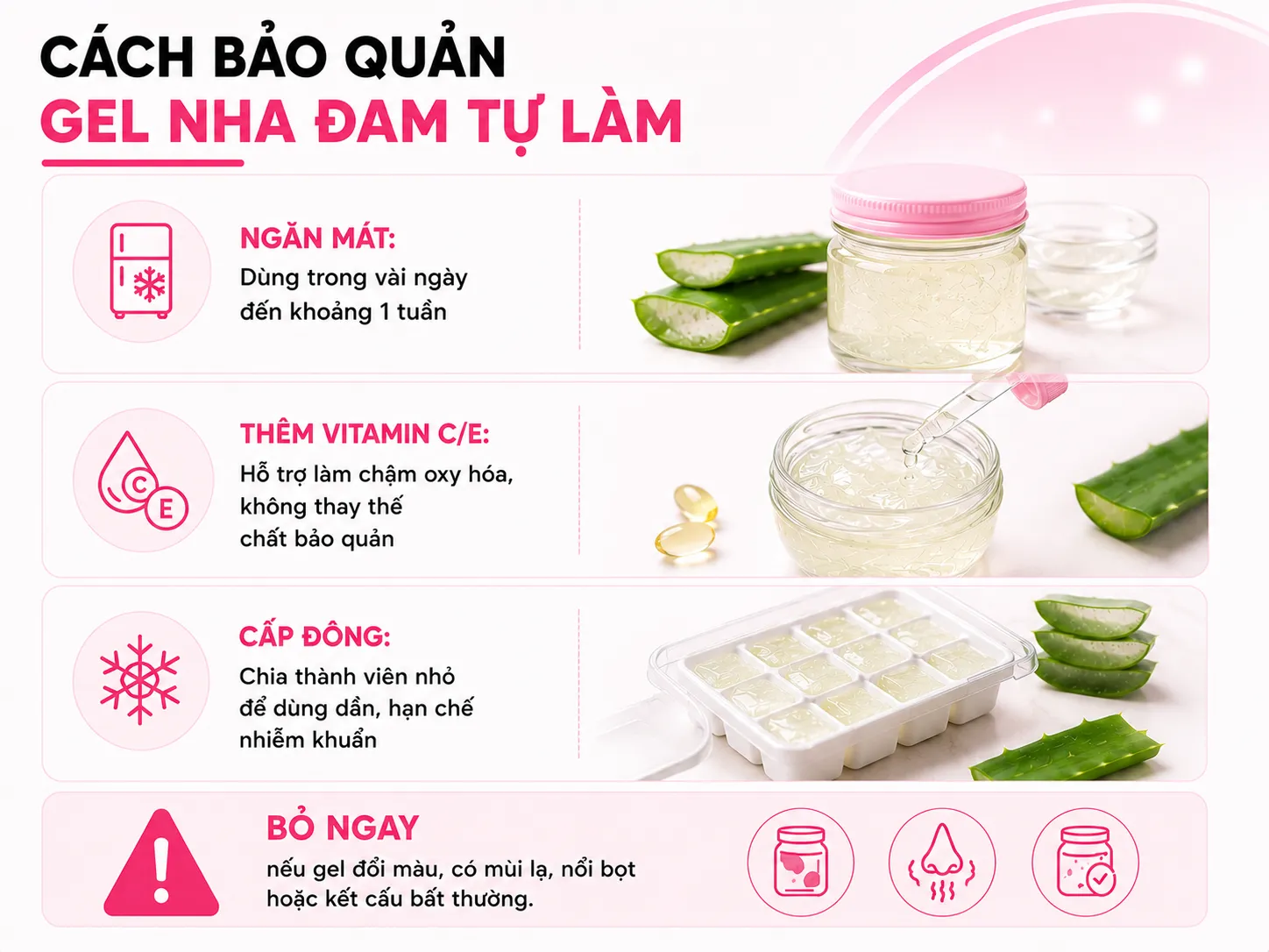 Infographic định lượng và bảo quản gel nha đam với vitamin và nhiệt độ lưu trữ