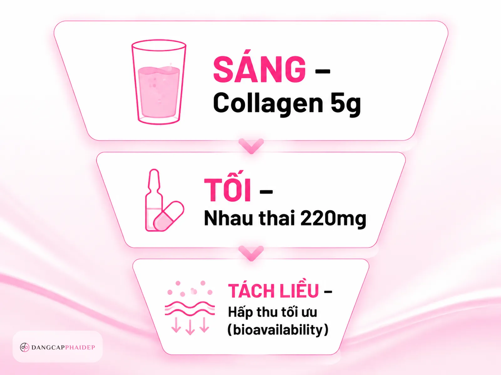 Phác đồ kết hợp Sáng - Tối để hấp thu tốt nhất trong ngày