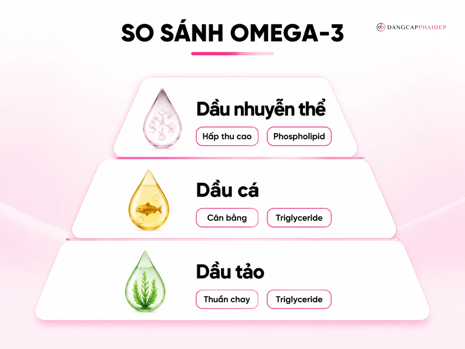 So sánh 3 nguồn omega 3: dầu cá, dầu tảo và dầu nhuyễn thể