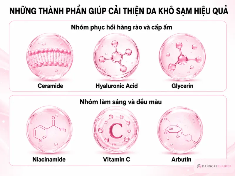 05-thanh-phan-cai-thien-da-kho-sam