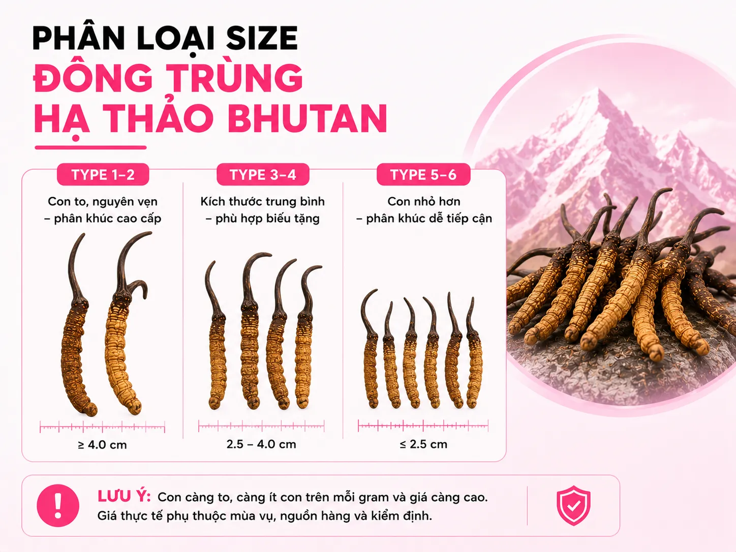 Bảng giá đông trùng hạ thảo Bhutan tham khảo theo phân loại size