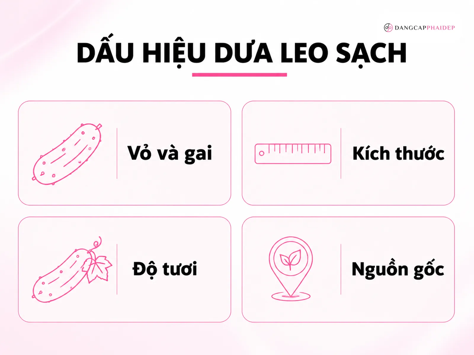Cách chọn dưa leo sạch: checklist nhận biết