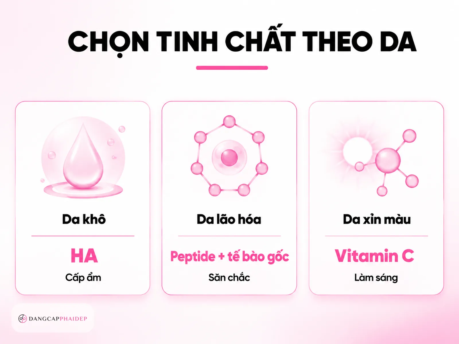 Chọn tinh chất theo tình trạng da: HA, Peptide, Vitamin C hay tế bào gốc?