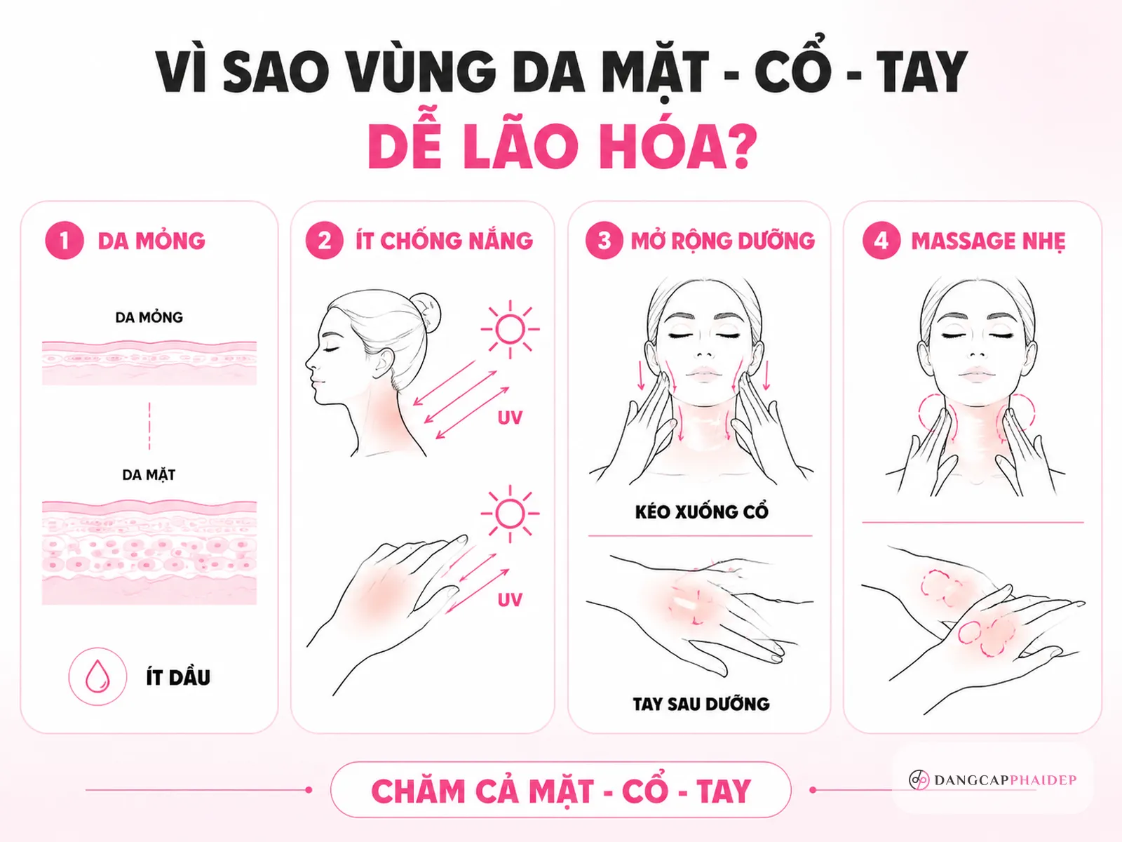 Infographic về lão hóa vùng cổ và tay do da mỏng, ít dầu và thiếu chống nắng, kèm cách chăm sóc mở rộng