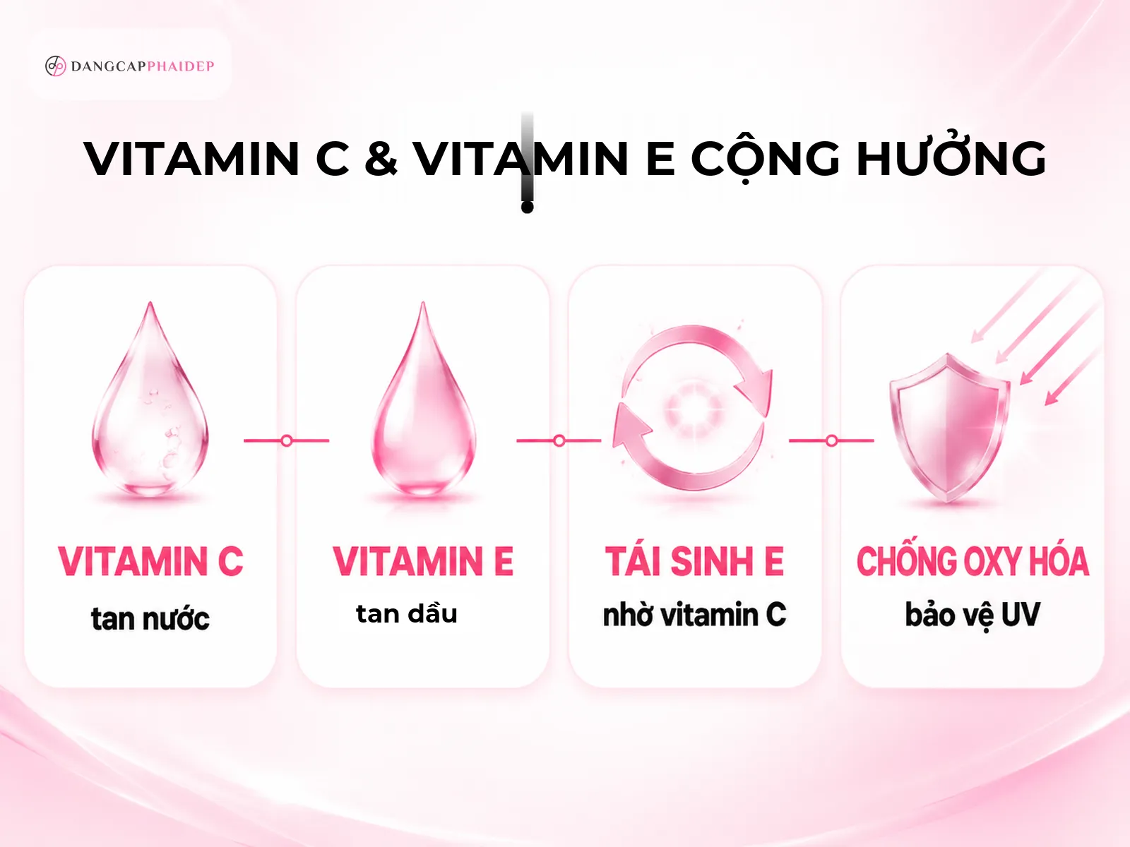 Infographic cơ chế Vitamin C và Vitamin E tái sinh chống oxy hóa da