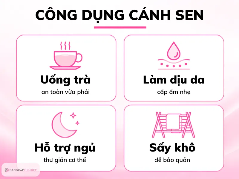 07-cau-hoi-thuong-gap-ve-tac-dung-cua-canh-hoa-sen