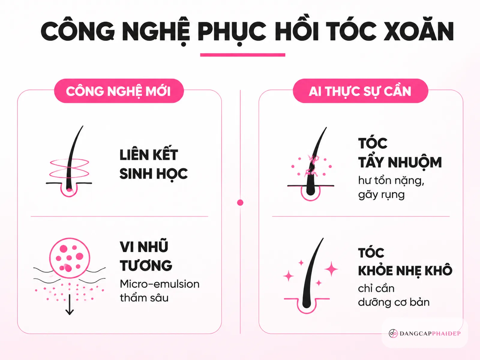 Công nghệ phục hồi tóc xoăn 2026: có đáng đầu tư?