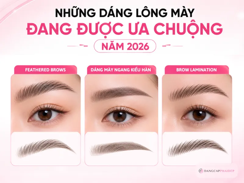 07-dang-may-duoc-ua-chuong-2026