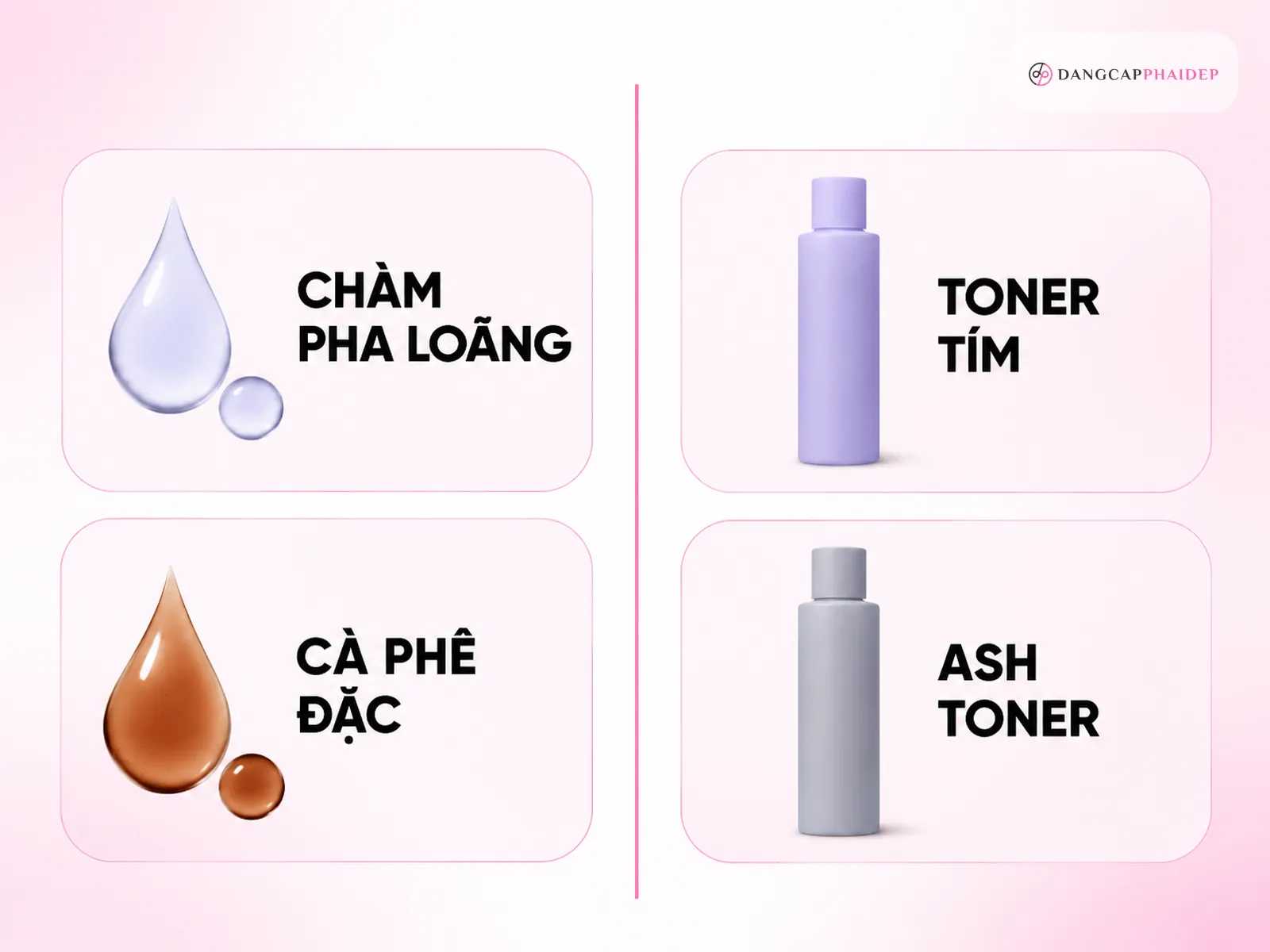 Infographic cách khử ánh cam vàng tóc bằng chàm cà phê và toner tím ash