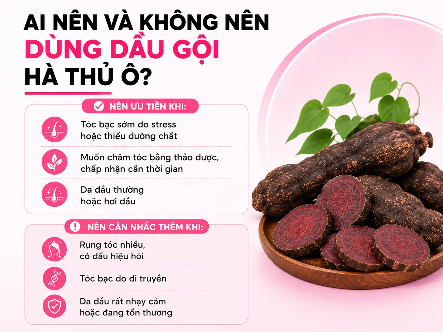Ai nên và không nên ưu tiên dầu gội hà thủ ô?