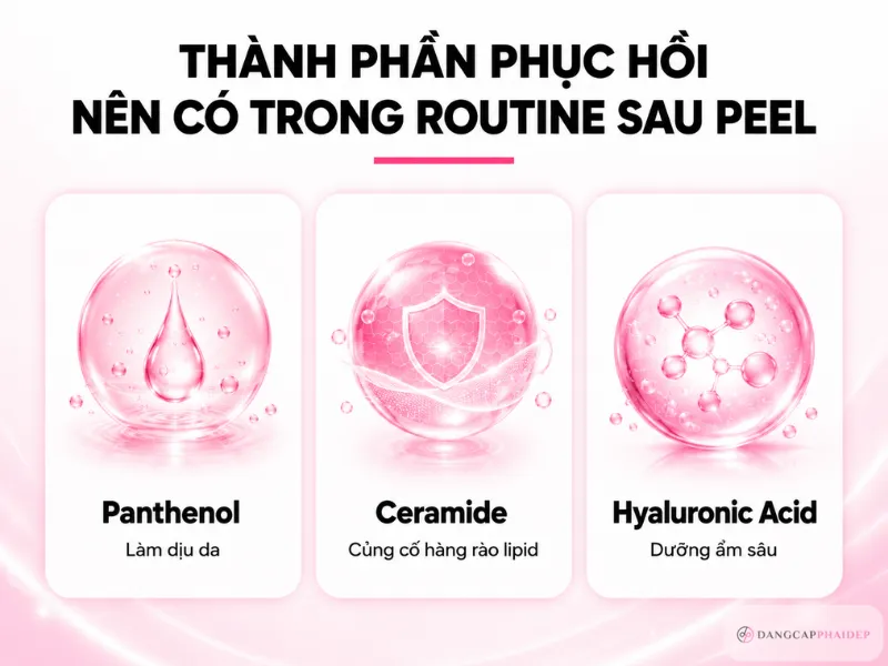 08-thanh-phan-phuc-hoi-nen-co-sau-peel