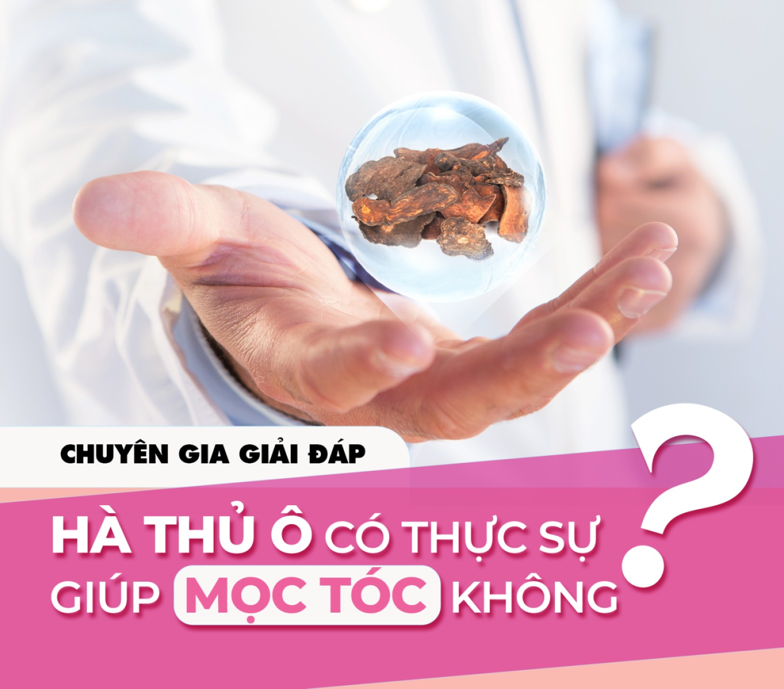 Chuyên gia giải đáp: Hà thủ ô có thực sự giúp mọc tóc không?