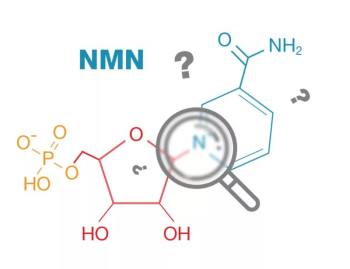 NMN là gì? Tác dụng chống lão hóa da của NMN