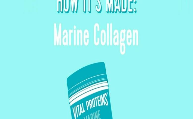 Tìm hiểu collagen marine là gì khái niệm cơ bản