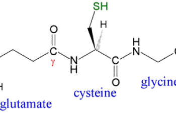Bạn biết gì về thành phần chất L-Glutathione thường thấy trong mỹ phẩm?