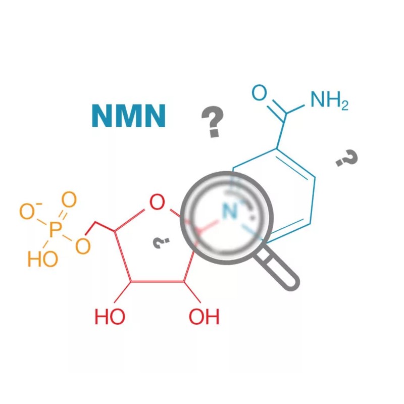 NMN 36000 và Collagen có sự liên kết như thế nào?