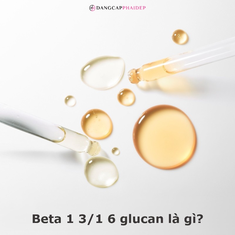 Beta 1 3/1 6 glucan là gì? 