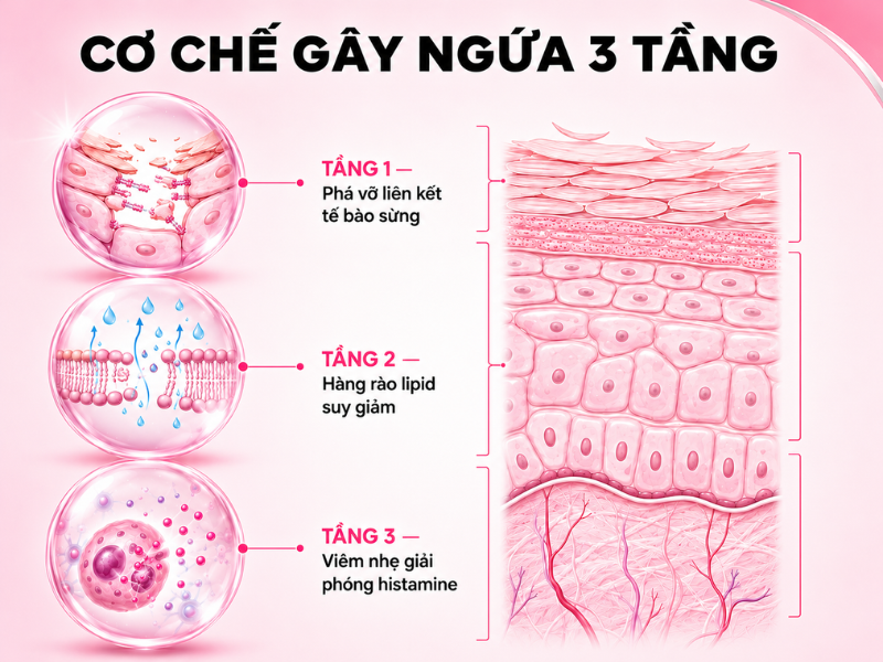 Vì sao peel da bị ngứa: cơ chế từ bên trong lớp biểu bì
