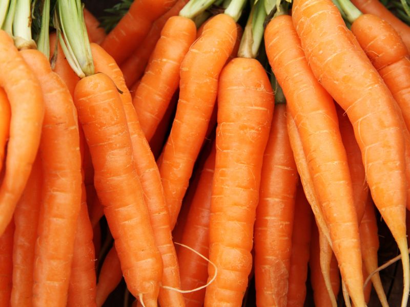 Sự tồn tại của vitamin A trong cà rốt giúp hình thành dầu bã nhờn ở da đầu.