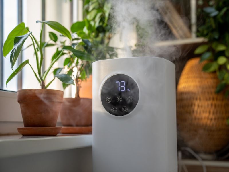 Máy tạo độ ẩm sẽ giúp da đầu bớt khô hơn