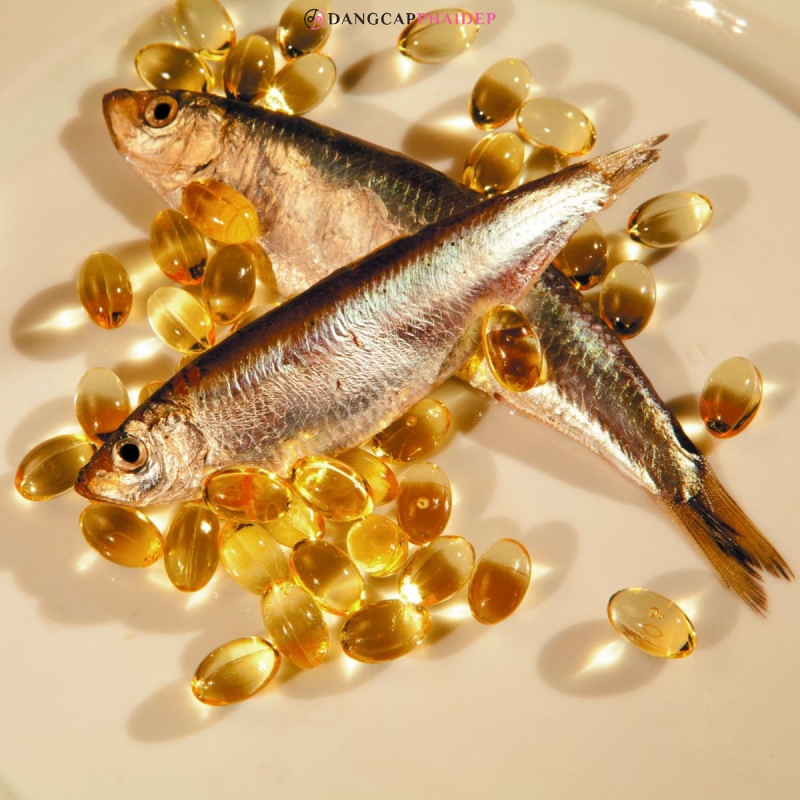 Dầu cá và omega 3 khác nhau như thế nào?