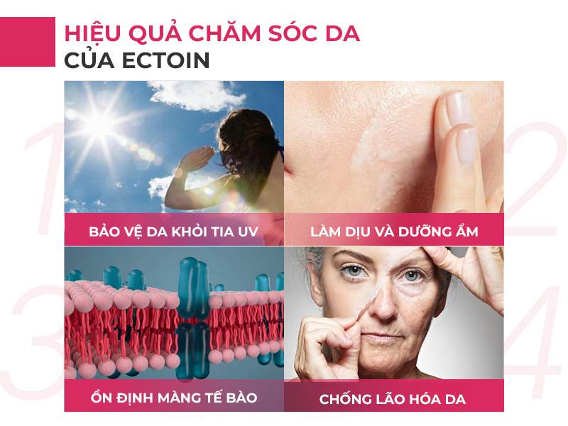 tác dụng của ectoin