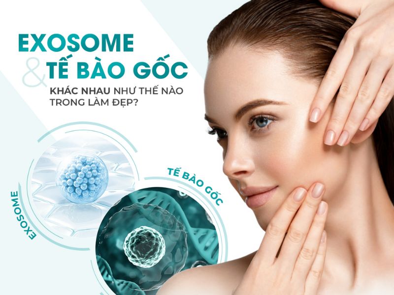 Exosome và tế bào gốc khác nhau như thế nào?