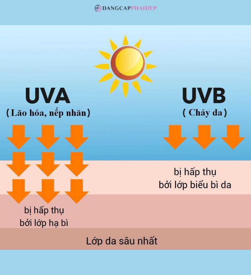 Cả tia UVA và UVB đều làm hỏng DNA của da đến mức xảy ra đột biến gen - có thể dẫn đến ung thư da.