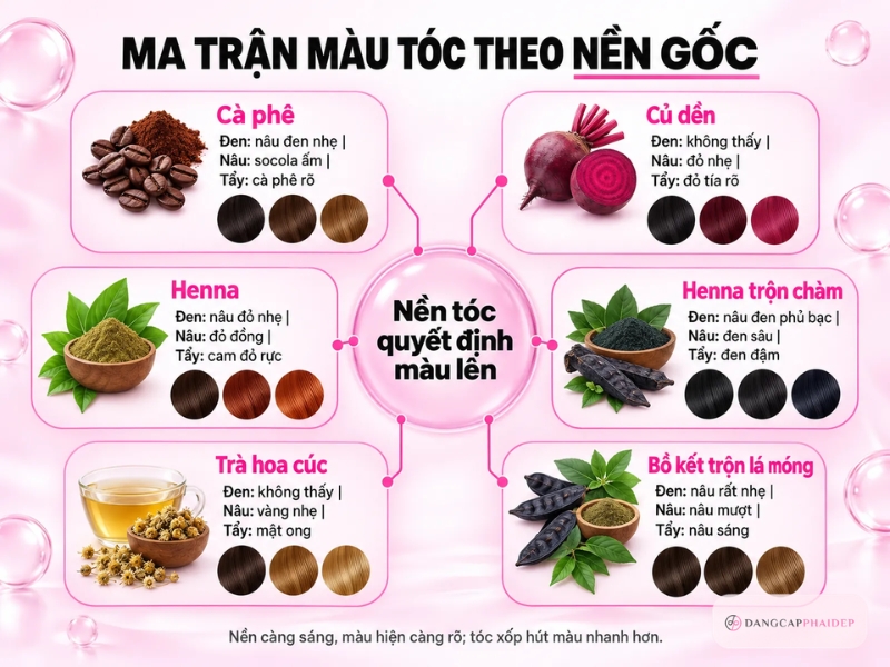 Ma trận màu tóc theo nền gốc khi nhuộm bằng cà phê, củ dền, henna, trà hoa cúc và bồ kết