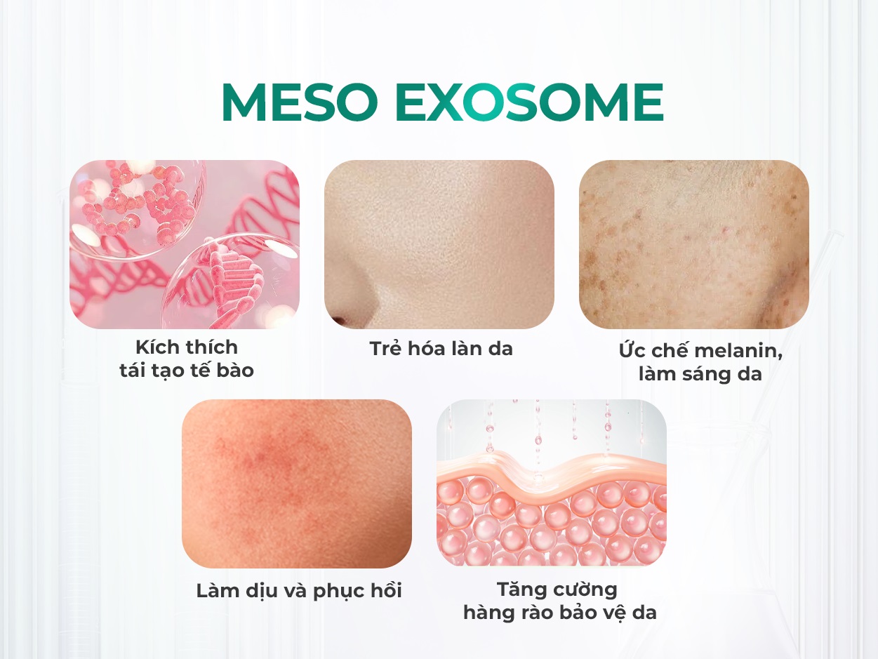 meso exosome có tác dụng gì