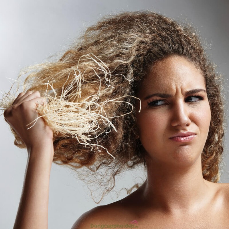 Có rất nhiều nguyên nhân khiến tóc bị hư tổn.