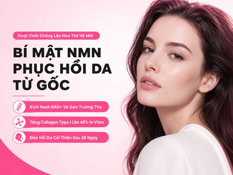 Mỹ phẩm NMN là gì? Điểm danh những sản phẩm chứa NMN đình đám nhất 2026