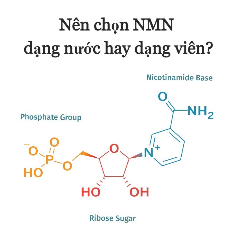 Nên chọn NMN dạng lỏng hay dạng viên?