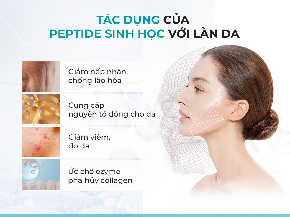 peptide sinh học