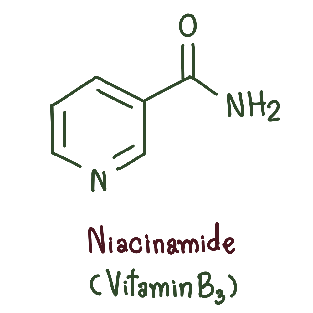 Niacinamide giúp tăng cường hàng rào bảo vệ đồng thời cải thiện các vấn đề da hiệu quả