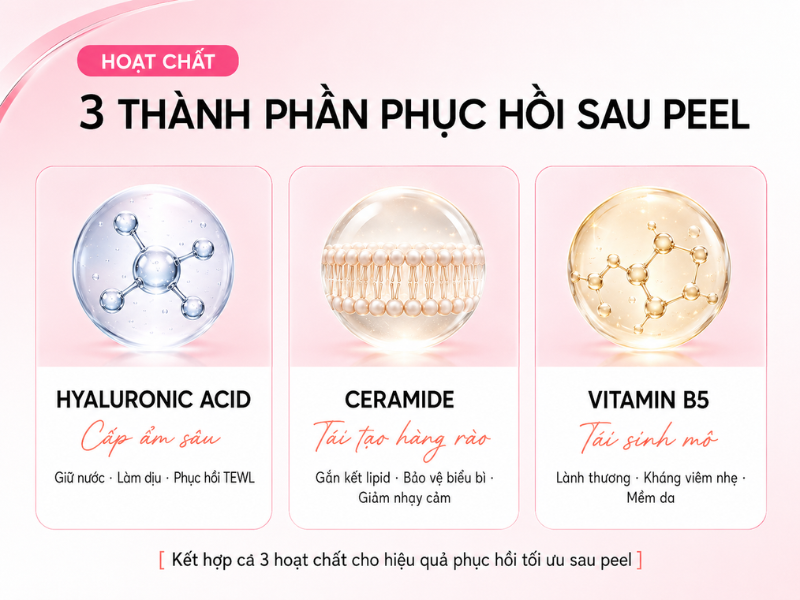 So sánh 3 hoạt chất phục hồi: Hyaluronic Acid, Ceramide và Vitamin B5