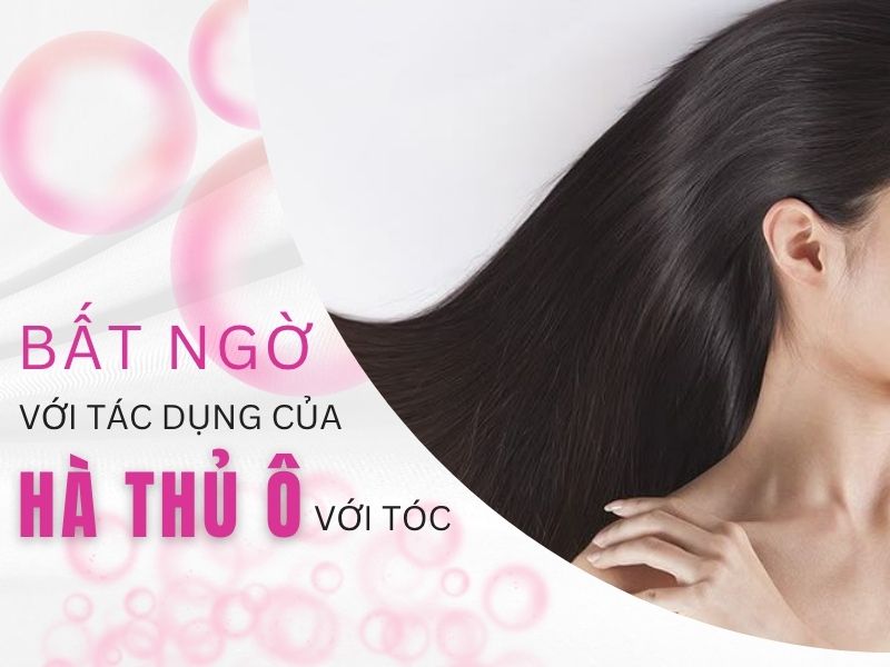 Ảnh bìa của tác dụng của Hà thủ ô với tóc