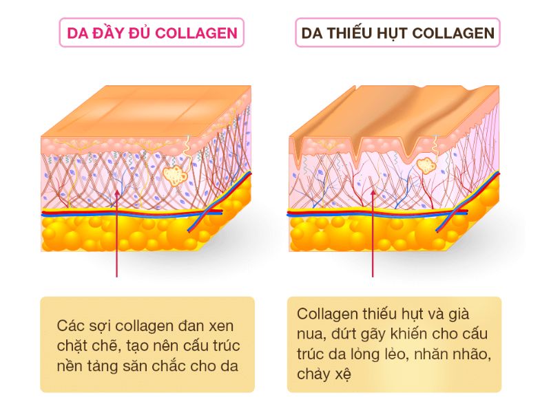 trẻ hóa da mặt